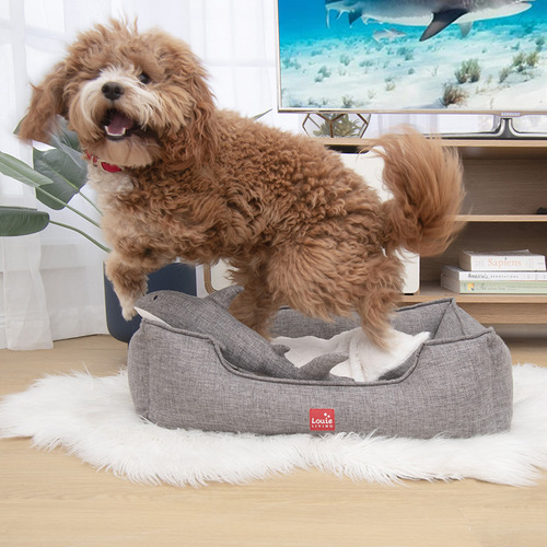 Dog lounger shop